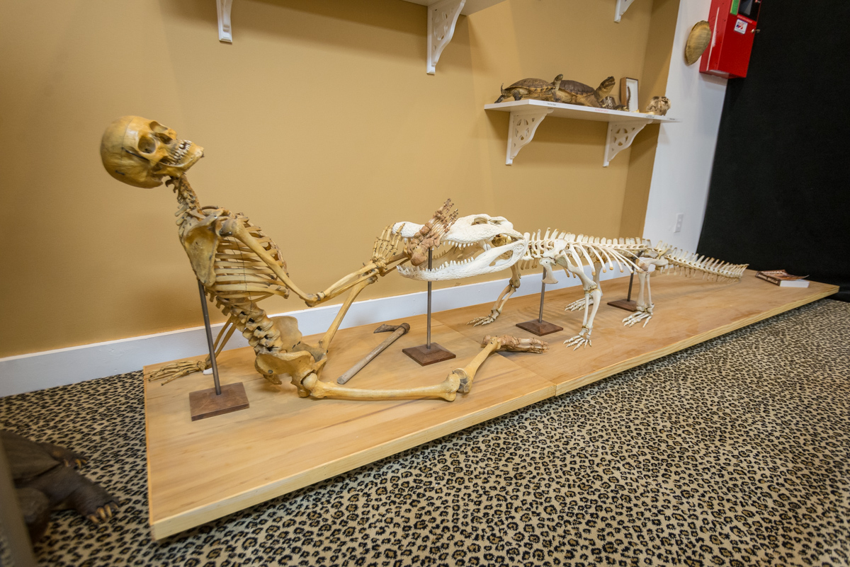 death museum images